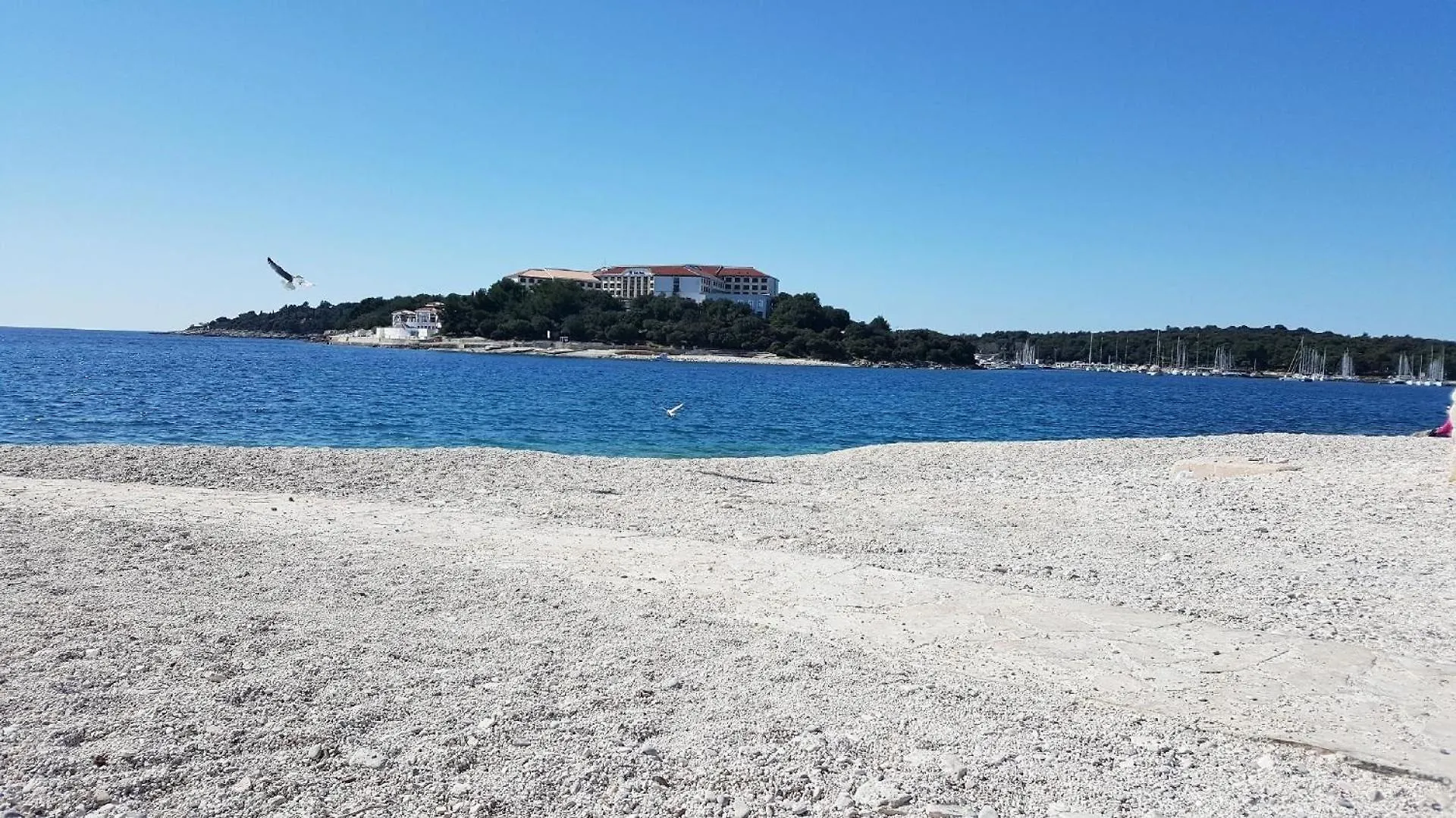 Grosse Wohnung In Pjescana Uvala Mit Eigenem Balkon 0*,  Croatia
